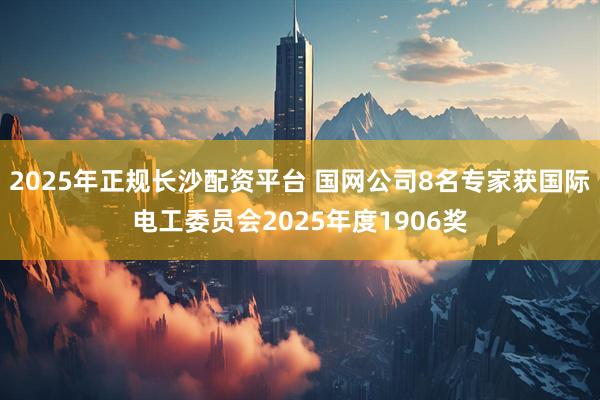 2025年正规长沙配资平台 国网公司8名专家获国际电工委员会2025年度1906奖