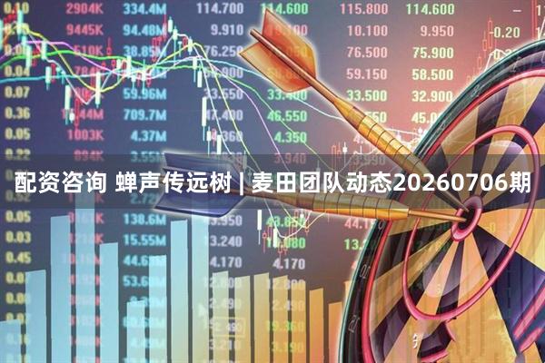 配资咨询 蝉声传远树 | 麦田团队动态20260706期
