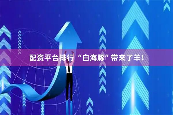 配资平台排行 “白海豚”带来了羊！